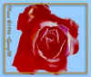 rosecard.jpg (71234 bytes)